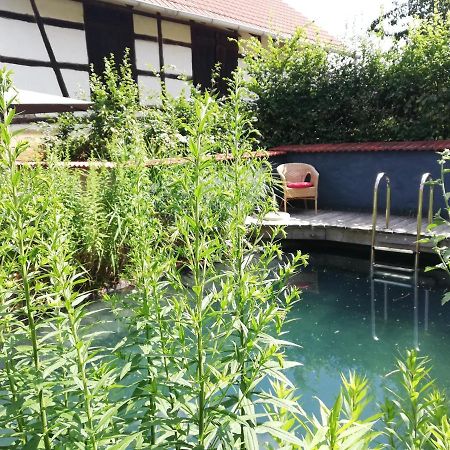 Haselbachstrasse 6 Apartment Ebensfeld Ngoại thất bức ảnh
