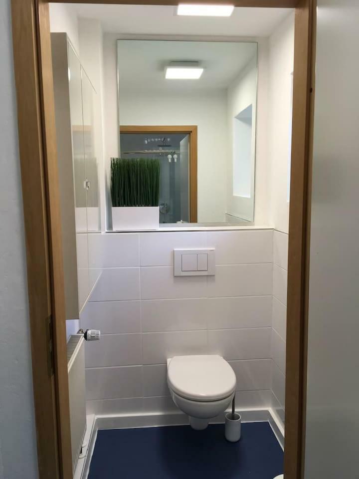 Haselbachstrasse 6 Apartment Ebensfeld Ngoại thất bức ảnh